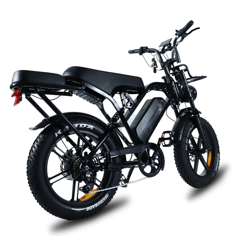 20" Fat Tire E-Bike 48V 250W Chain Drive Hot Sale Mountain Bike-1