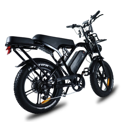 20" Fat Tire E-Bike 48V 250W Chain Drive Hot Sale Mountain Bike-1
