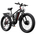 Dual Motor 48V 20AH Fat Tire Adult Electric Bike