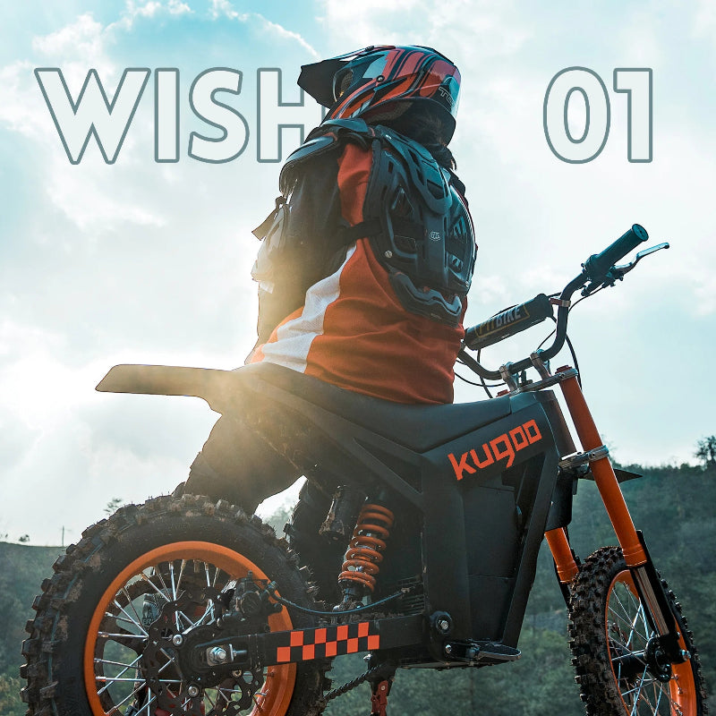 Freeboy High-Speed Off-Road E-Bike | 3000W, 45km Range, IPX5
