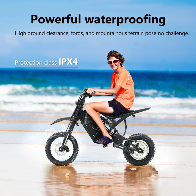 High-Power Off-Road E-Bike: 3500W Peak, Beginner Friendly